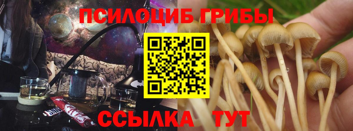 Каменск-Уральский  Галлюциногенные грибы Magic Shrooms  Вход с VPN 